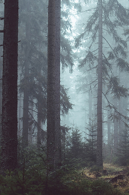Rolgordijn voor het raam Bos 's nachts