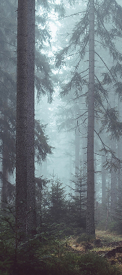 Rolgordijn voor het raam Bos 's nachts
