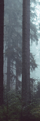 Rolgordijn voor het raam Bos 's nachts