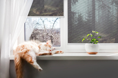 Rolgordijn voor het raam Bos 's nachts