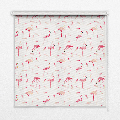 Rolgordijn voor het raam Flamingo's en hun veren