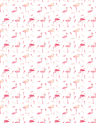 Rolgordijn voor het raam Flamingo's en hun veren