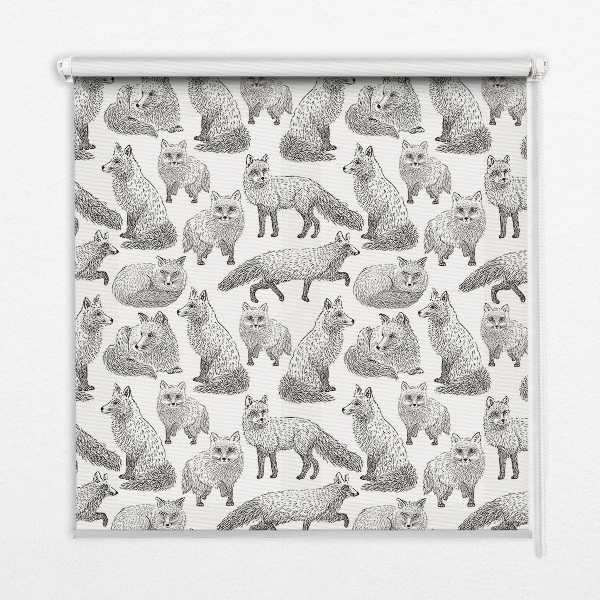 Rolgordijn voor het raam Grijze vossen