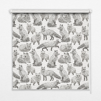 Rolgordijn voor het raam Grijze vossen