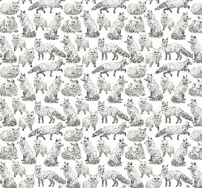 Rolgordijn voor het raam Grijze vossen