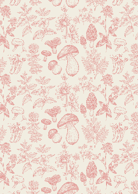 Rolgordijn voor het raam Getekende paddenstoelen