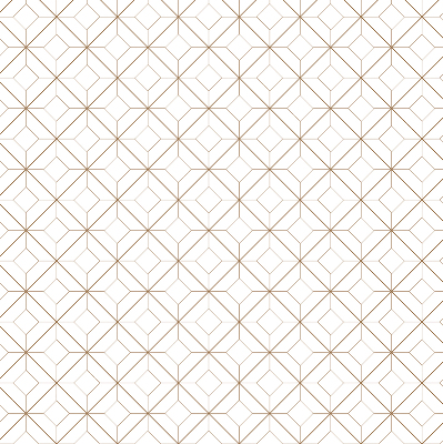 Rolgordijn voor het raam Bruin patroon