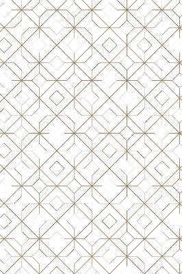 Rolgordijn voor het raam Bruin patroon