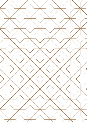 Rolgordijn voor het raam Bruin patroon