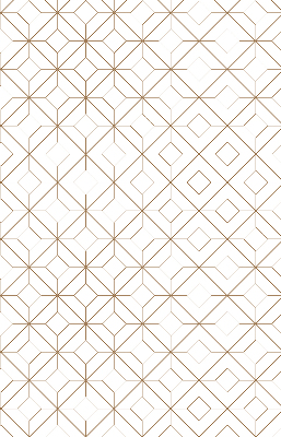 Rolgordijn voor het raam Bruin patroon