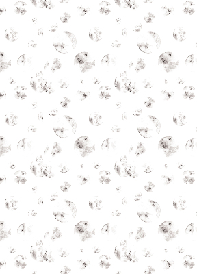 Rolgordijn verduisterend Planeten