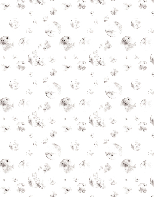 Rolgordijn verduisterend Planeten