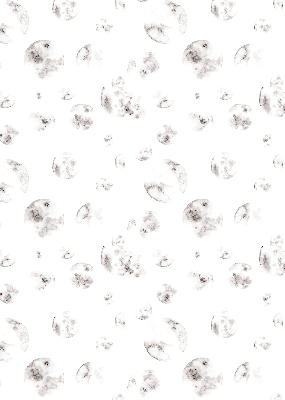 Rolgordijn verduisterend Planeten