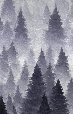 Rolgordijn voor het raam Mistig bos