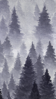 Rolgordijn voor het raam Mistig bos