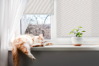 Rolgordijn voor het raam Wit