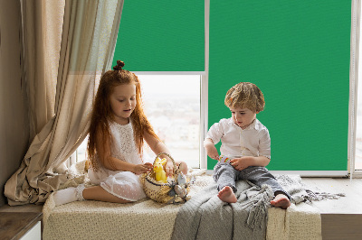 Rolgordijn voor het raam Groente