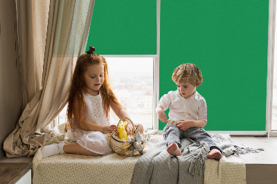 Rolgordijn voor het raam Groente