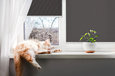 Rolgordijn verduisterend Zwart