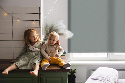 Rolgordijn voor het raam Grijs