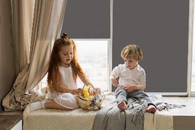 Rolgordijn voor het raam Grijs