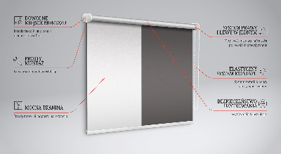 Rolgordijn voor het raam Grijs