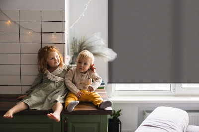 Rolgordijn voor het raam Grijs