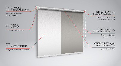 Rolgordijn verduisterend Grijs