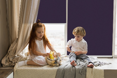 Rolgordijn verduisterend Zwart