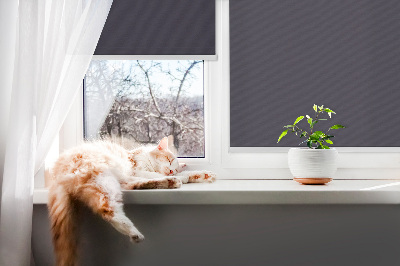 Rolgordijn voor het raam Zwart