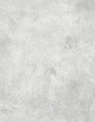 Rolgordijn voor het raam Rook