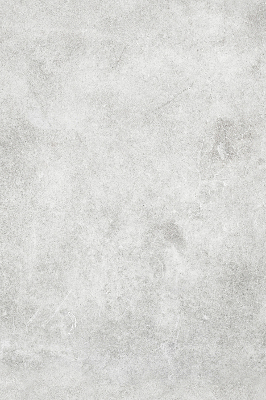 Rolgordijn voor het raam Rook