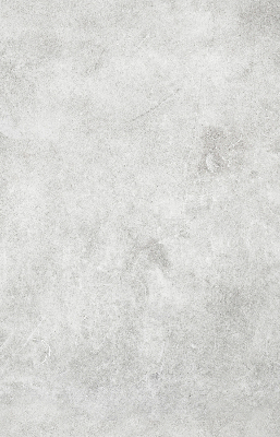 Rolgordijn voor het raam Rook