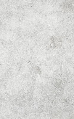 Rolgordijn voor het raam Rook