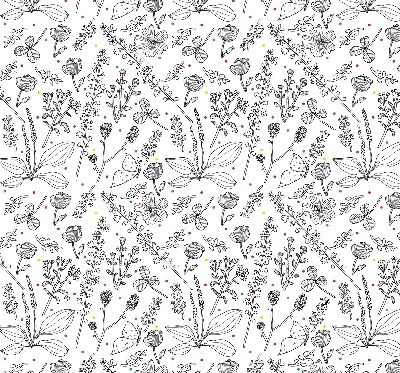 Rolgordijn voor het raam Getekende planten