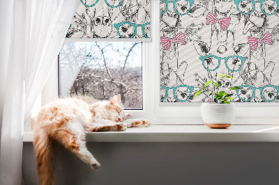 Rolgordijn voor het raam Giraf met bril