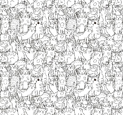 Rolgordijn voor het raam Getekende katten