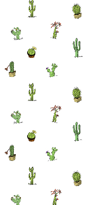 Rolgordijn voor het raam Cactussen