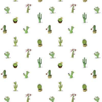 Rolgordijn voor het raam Cactussen