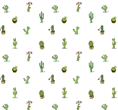 Rolgordijn voor het raam Cactussen