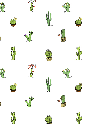 Rolgordijn voor het raam Cactussen