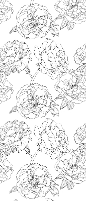 Rolgordijn verduisterend Getekende rozen