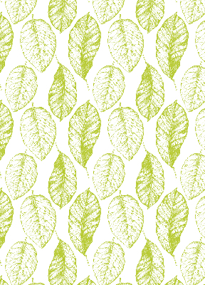 Rolgordijn voor het raam limoenblaadjes