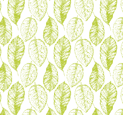 Rolgordijn voor het raam limoenblaadjes