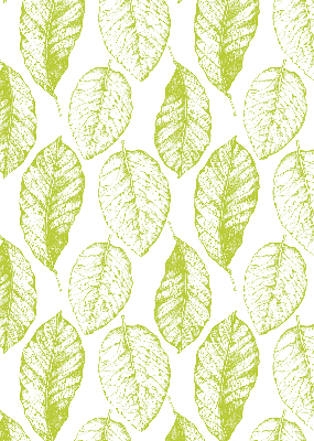 Rolgordijn voor het raam limoenblaadjes