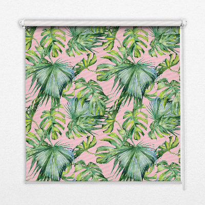 Rolgordijn voor het raam Tropische bladvariëteiten