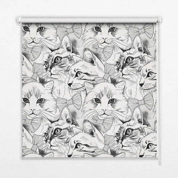 Rolgordijn voor het raam Getekende katten