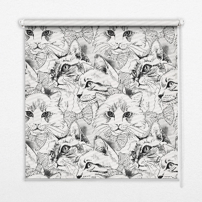 Rolgordijn voor het raam Getekende katten