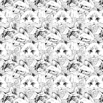 Rolgordijn voor het raam Getekende katten