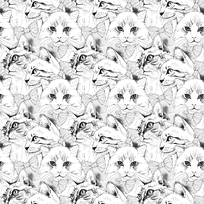 Rolgordijn voor het raam Getekende katten